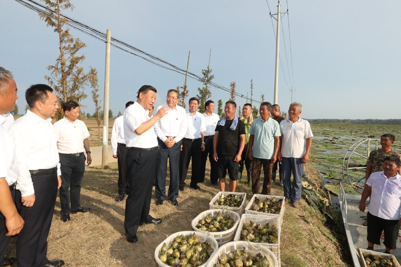 8月18日至21日，中共中央总书记、国家主席、中央军委主席习近平在安徽省考察。这是18日下午，习近平在阜阳市阜南县蒙洼蓄洪区，同正在采摘芡实的乡亲们亲切交流，了解灾后生产恢复情况。